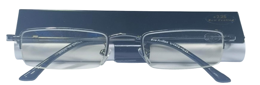 L 1372 Silver Frame